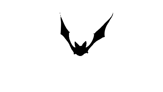 bat